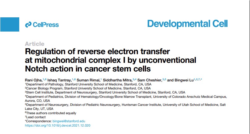 Lab Research Image